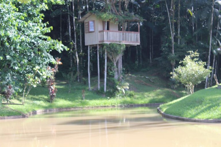 Sitio Vô Tontini