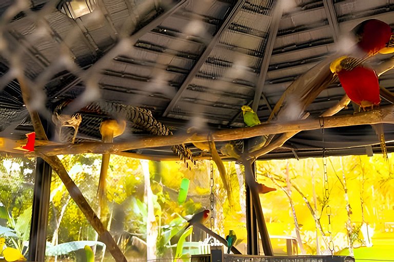 ASA | Quinta da Esmeralda | Pub | Piscina | Chalés