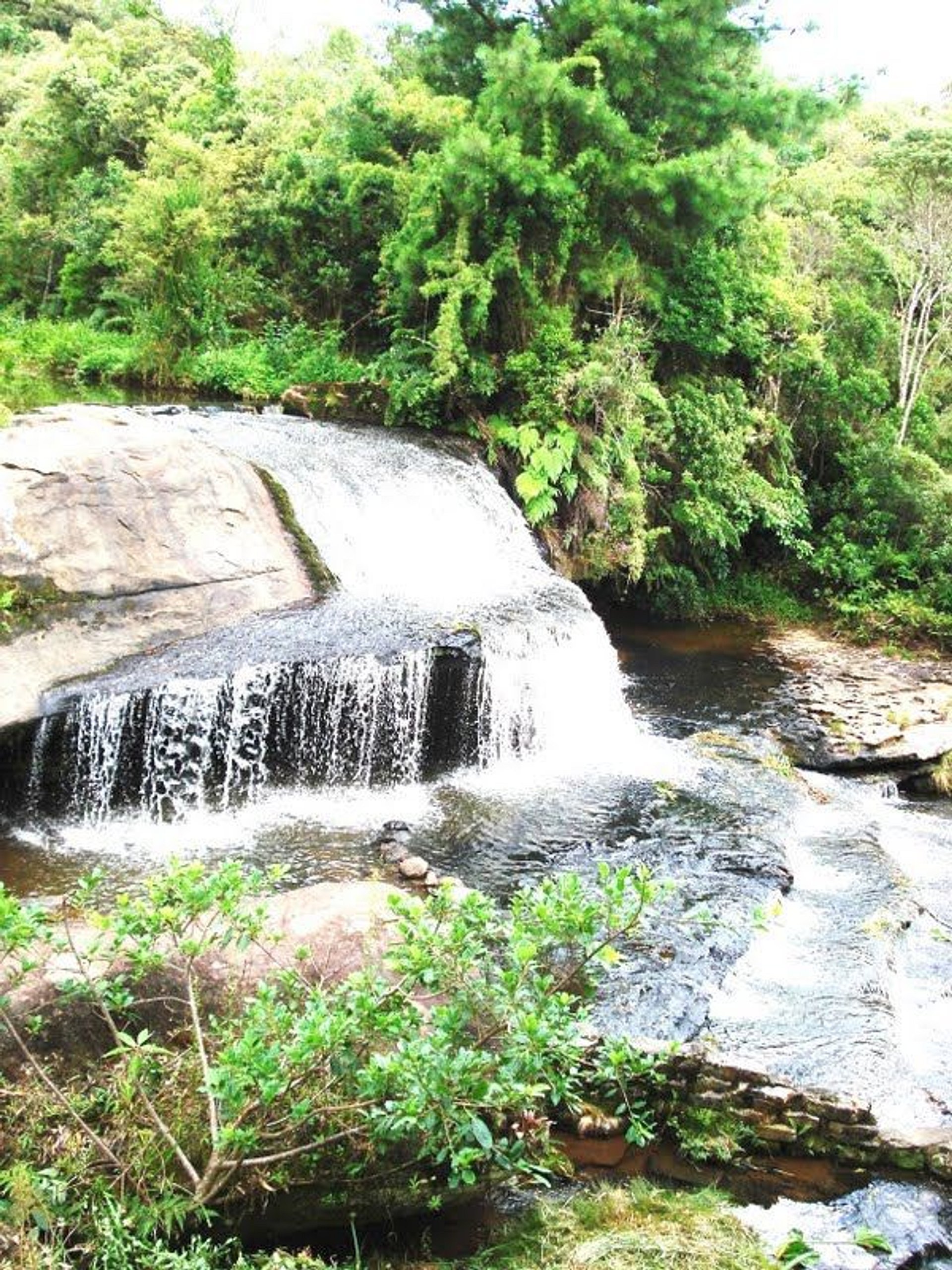 Cachoeira em Rio dos Cedros